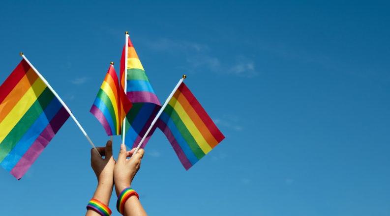 Photo of two hands holding up rainbow flags.
